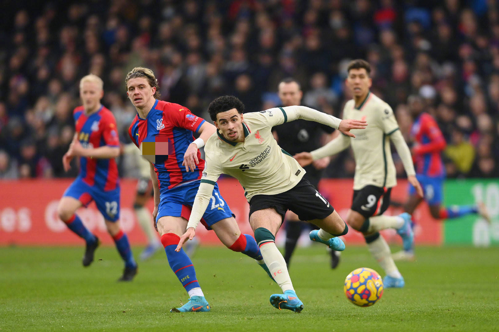 南方网把体 南方网把体