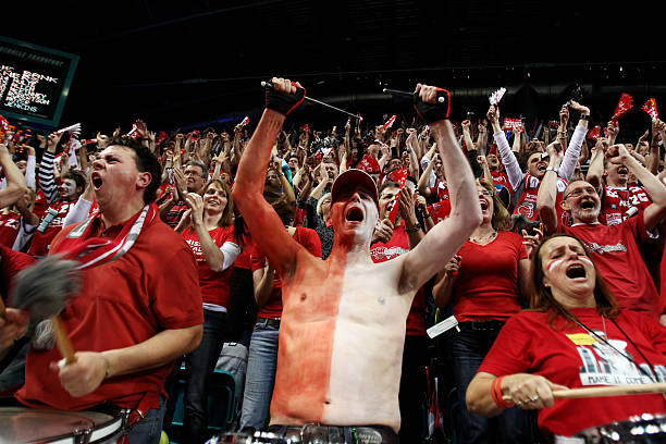 主力球员武 主力球员武